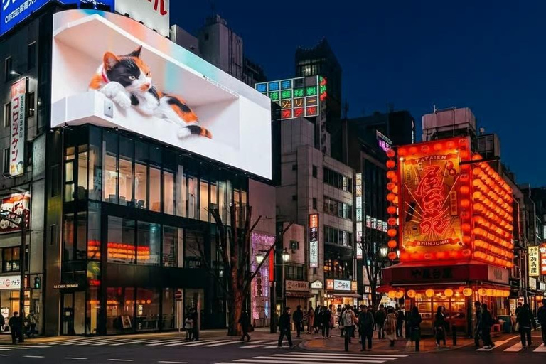 Tokyo Private Tour with English speaking driver Minivan (1-6)