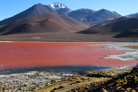 Desde Uyuni: Laguna Colorada y Salar de Uyuni 3 Días + ComidasExcursión por España (Opción 1)