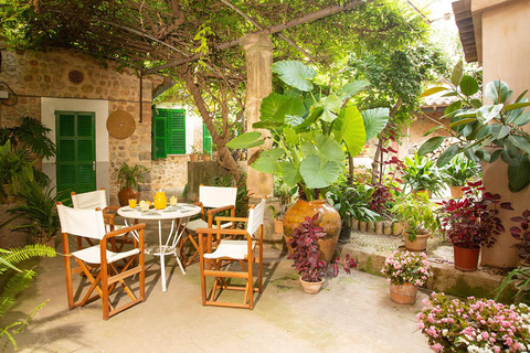 Sóller: Olijfolie proeverij en brunch bij Can Det Estate