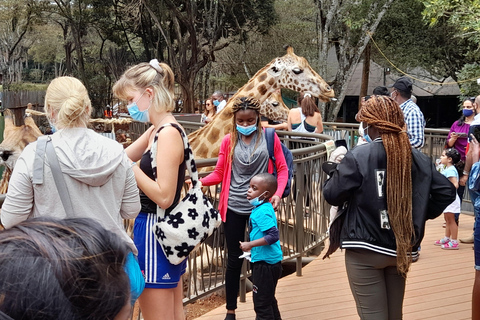 Nairobi: Parco nazionale, orfanotrofio degli elefanti e tour delle giraffe