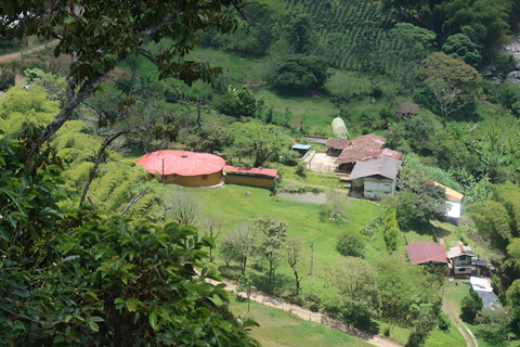 MEDELLIN: DAWN GARDEN TOUR WITH VISIT TO BETANIA - 2 DAYS AND 1 NIGHT