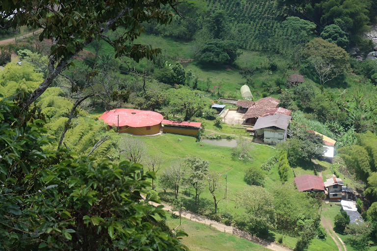 MEDELLIN: DAWN GARDEN TOUR WITH VISIT TO BETANIA - 2 DAYS AND 1 NIGHT