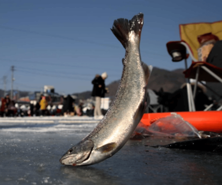Aus Seoul: Hwacheon Ice Fishing and Lighting Festival
