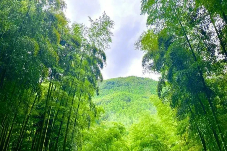 Shanghai: West Lake Hills & Tea Gardens Private Day Trip