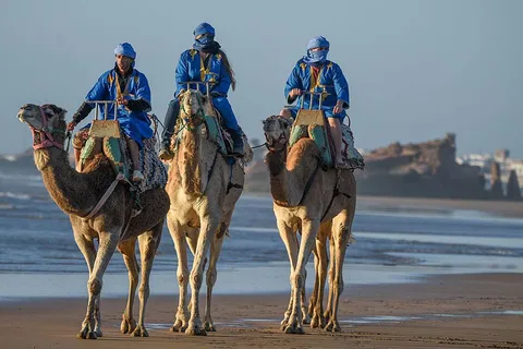Essaouira: 2-timers kamelritt
