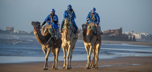 Visit Essaouira 2-Hour Camel Ride in Essaouira