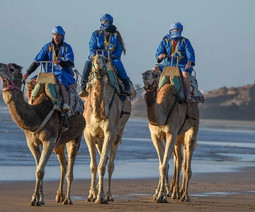 Essaouira: 2-Hour Camel Ride