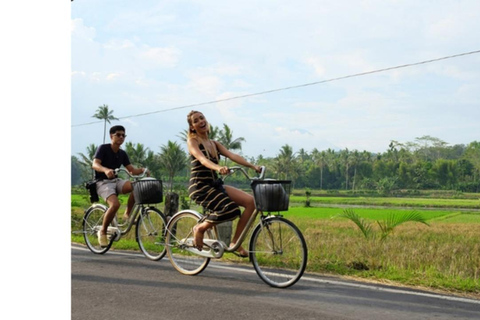 Yogyakarta; Borobudur Sunrise & Cycling Borobudur Village