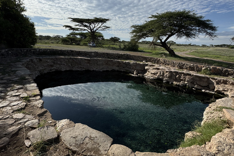 Samburu National Reserves: Optional Village Tour & Swimming