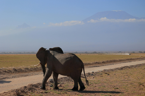 Nairobi: 7-Day Magical Kenya Safari with Meals and Transfers