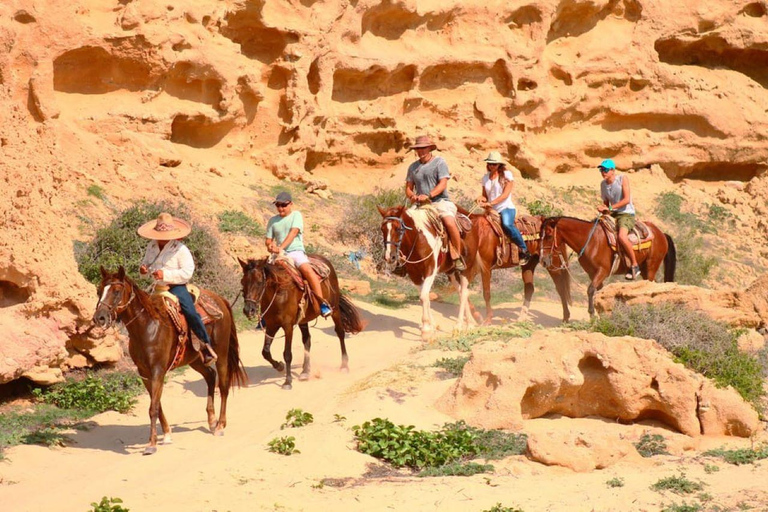 Cabo San Lucas: Horseback Riding on the Beach Experience Migriño Horseback Riding PRO