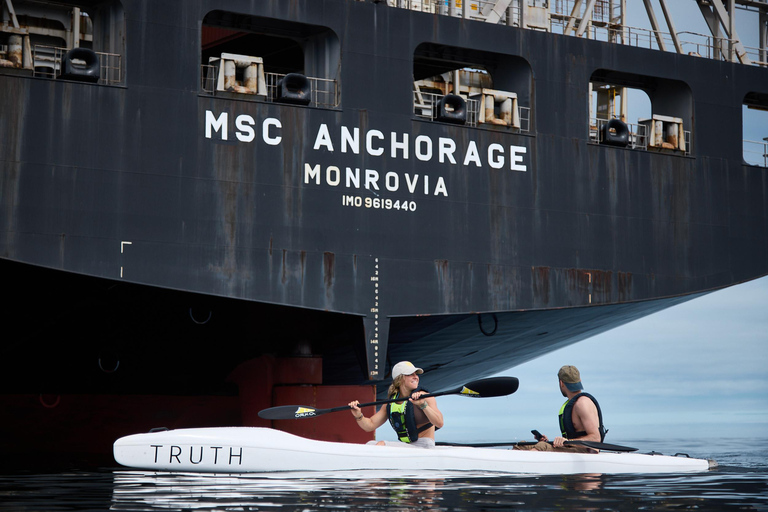 Cape Town: Dolphin & Ocean Wildlife Kayaking Adventure ⚓️