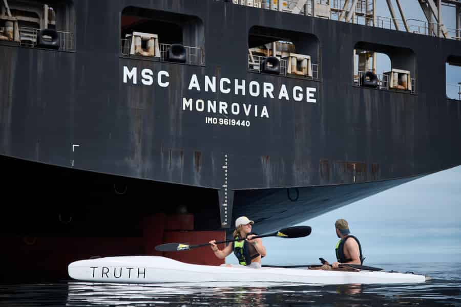 Kapstadt: Kajakabenteuer mit Delfinen und Meerestieren ⚓️. Foto: GetYourGuide Kapstadt: Kajakabenteuer mit Delfinen und Meerestieren ⚓️. Foto: GetYourGuide