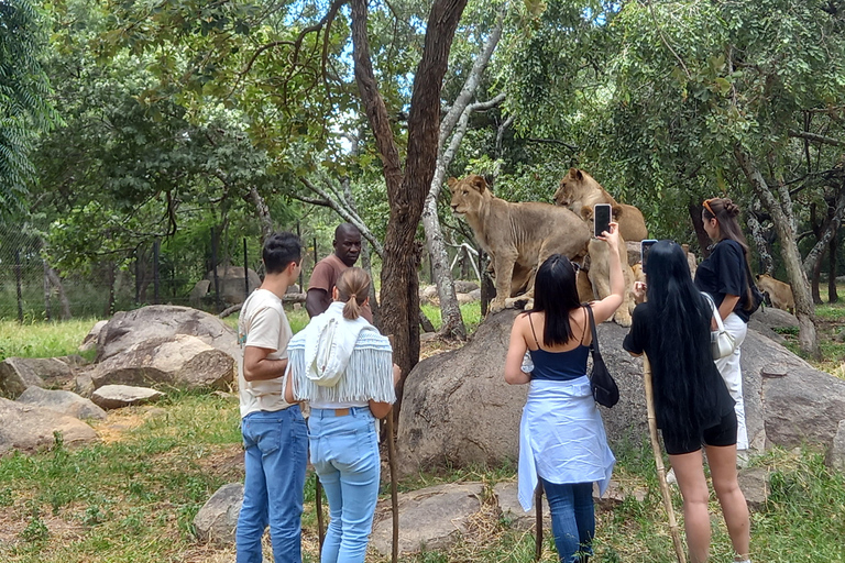 Harare: Tour con scalo, safari &amp; vacanze