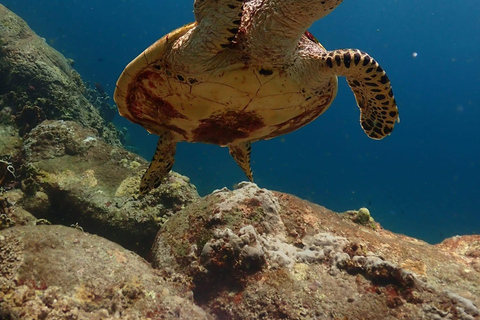 Phuket: Scuba Diving Try Dive with Hotel Pickup