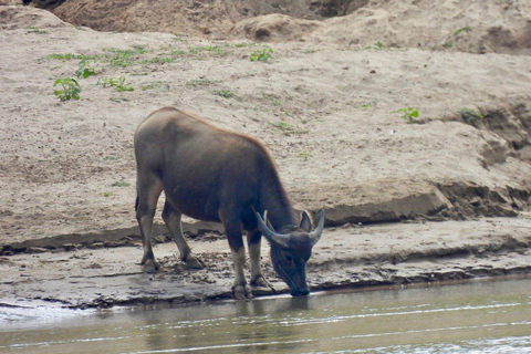 VIP Chiang Mai: 3 Day Trip Slow Boat to Luang Prang [VIP] Chiang Mai: 3 Day Trip a Cruise to Luang Prang