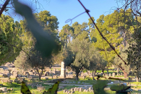 Ancient Olympia: Agrotourism tour, honey, wine, and oil tasting.
