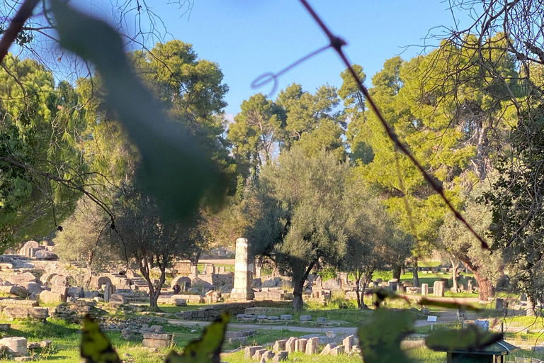 Ancient Olympia: Agrotourism tour, honey, wine, and oil tasting.