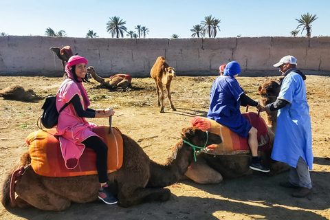 Marrakech : balade en chameau à la palmeraieMarrakech : balade en chameau de 3 h à la palmeraie