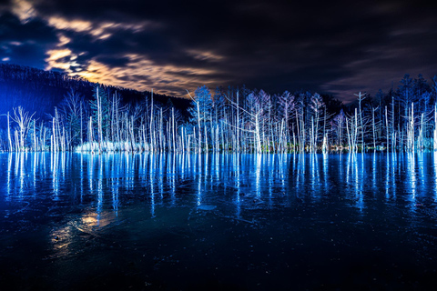 Sapporo: Asahiyama Zoo and Blue Pond Day Trip