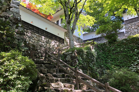 Desde Nagoya: Excursión de un Día a Gujo, Hida Takayama y Shirakawa-go