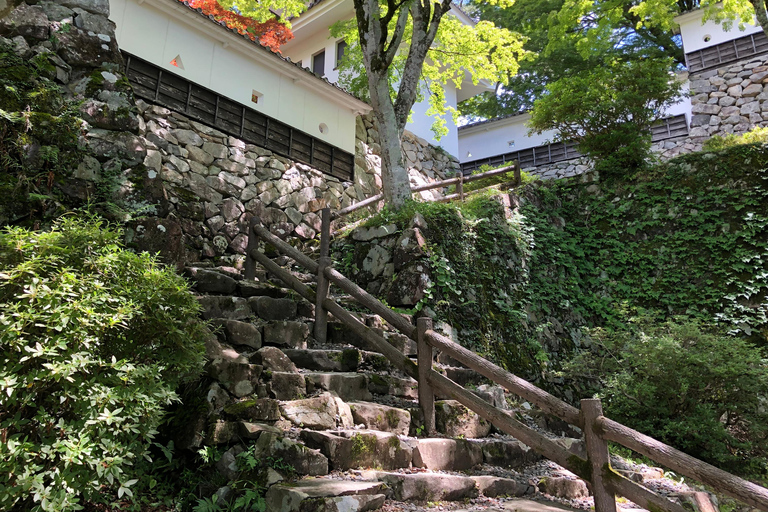 Desde Nagoya: Excursión de un Día a Gujo, Hida Takayama y Shirakawa-go