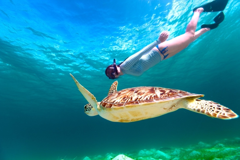 Marsa Alam: Snorkel with Sea Cows and Turtles Marsa Mubarak