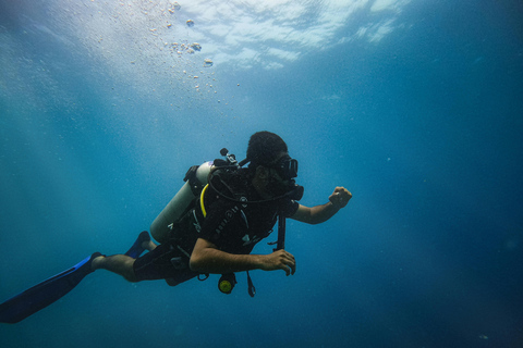 Mirissa: Unforgettable Scuba Diving Experience with Coral Fun Scuba Diving for Experienced Divers (One Tank)