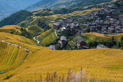 Longji Terraced Fields: Hiking Tour from Ping&#039;an to Dazhai1-Day Longji Terraced Fields Hiking Tour