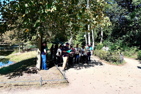 Berlin: Historia av JW Tour