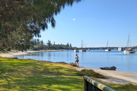 Vanuit Brisbane: Tamborine Mountain en Paradise Point Tour