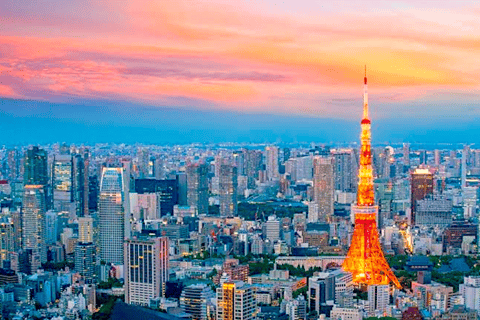 2 jours Tokyo, excursion au Mont Fuji visite guidée privée