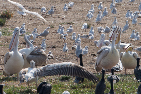 LOCATION: 3 Days Queen Elizabeth Park & Chimp Trekking Tour