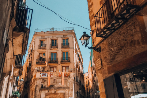 Barcelona: Introduction to the Gothic Quarter Walking Tour Private Tour (Max 20 Adults)