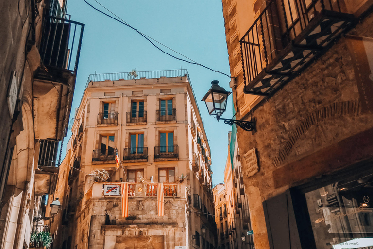 Barcelona: Introduction to the Gothic Quarter Walking Tour Private Tour (Max 20 Adults)