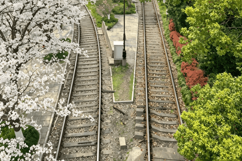 Hangzhou Zen and Pagoda Shadows One-Day Tour