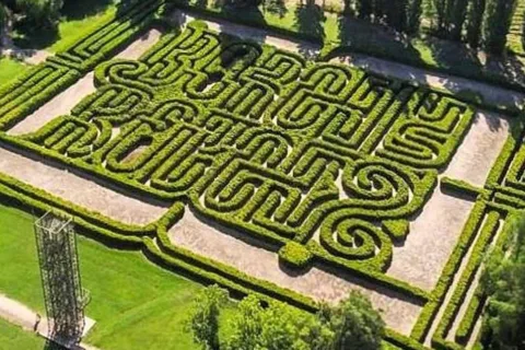Mendoza: Borges Labyrinth: Lunch, Literary Workshop & Winery
