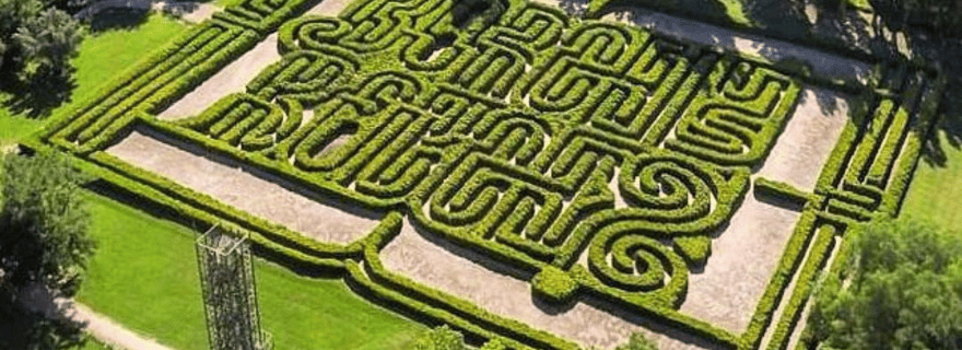 Mendoza : Labyrinthe de Borges : Déjeuner, atelier littéraire et vignoble