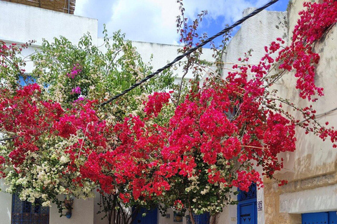 Tour del Nord Africa con il parco Utique-Bizerte-Ichkeul (UNESCO)