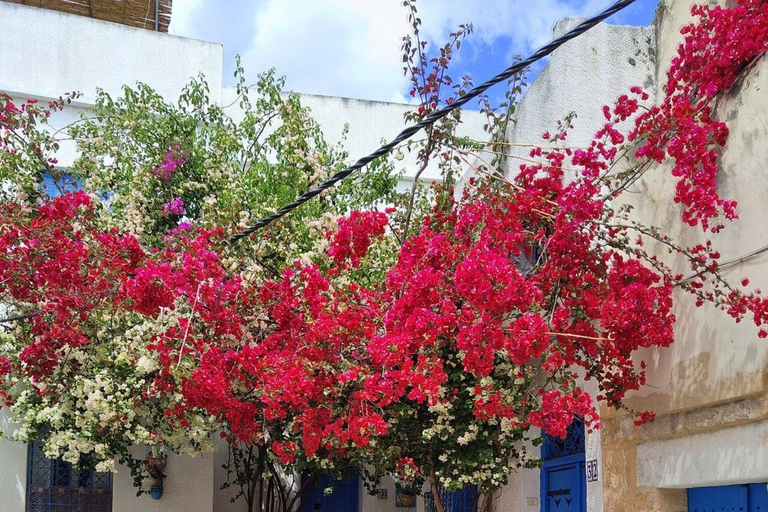 Excursão ao norte da África para o parque Utique-Bizerte-Ichkeul (UNESCO)