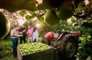 County Armargh: Obstgartentour mit Cidre-Verkostung und Apfelkuchen