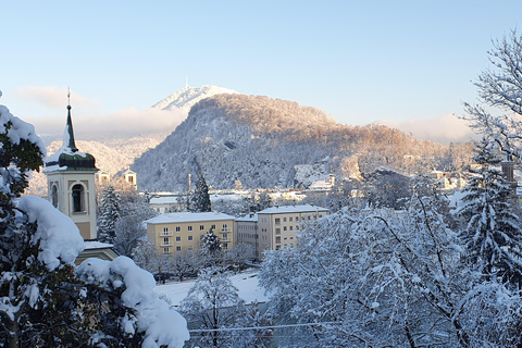 Salzbourg : « Salzbourg vue d&#039;en haut » - Randonnée sur les montagnes de SalzbourgSalzbourg : « Salzbourg vue d&#039;en haut » - Randonnée sur les montagnes de la ville de S