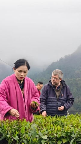 Zhangjiajie: 2-Day Tour with Tea Garden & Grand Canyon