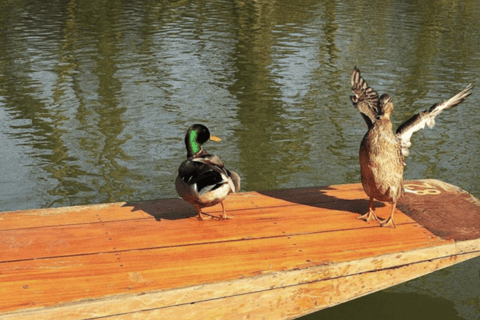 Passeio de barco pelo rio Cherwell