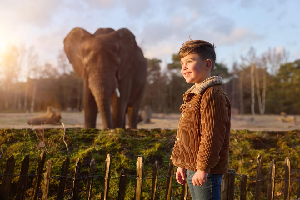 Hilvarenbeek, Safaripark Beekse Bergen Entry Ticket - Housity