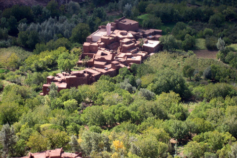 Agadir/Taghazout: Paradise Valley Halvdagsutflykt med lunchRundtur med lunch