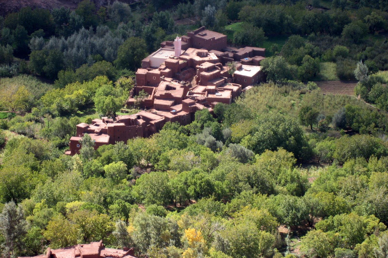 Agadir/Taghazout: Tour de medio día por el Valle del Paraíso con almuerzoExcursión con almuerzo