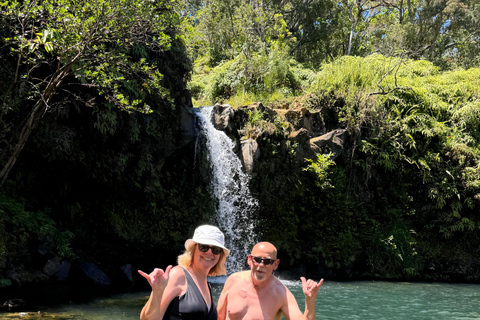 Maui's Sea Turtle & Waterfalls: Taste of Hana Guided Tour