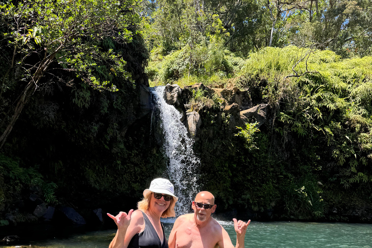 Maui's Sea Turtle & Waterfalls: Taste of Hana Guided Tour