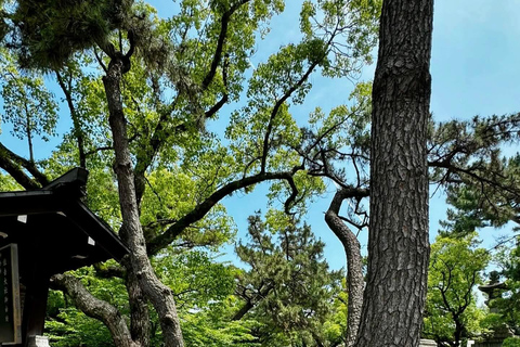 Osaka & Nara: Private Tour with English speaking guide Osaka & Nara: Couple friendly tour with vehicle and guide